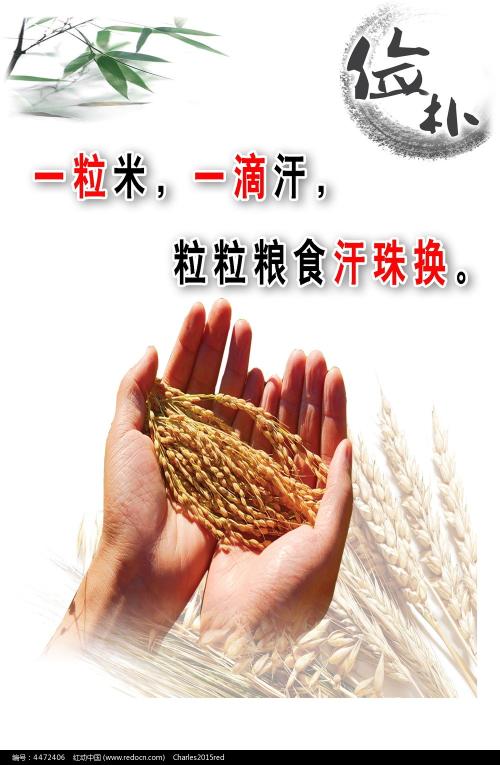 布兰登大学学位证电子图